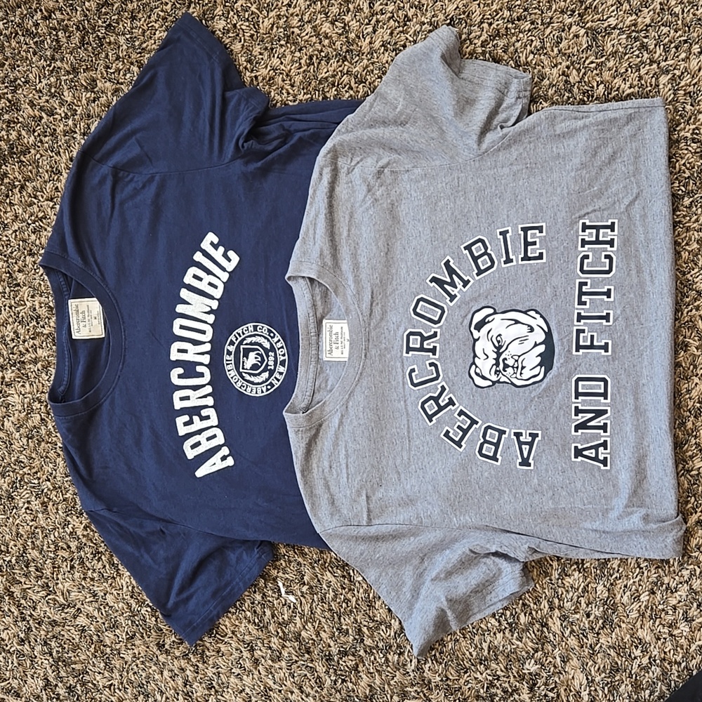 Abercrombie & Fitch Mens Medium Short Sleeve Tee-2 pack Gray and Blue